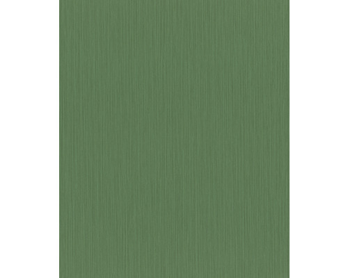 Papier peint intissé 537673 Curiosity rayures vert Papier peint avec une structure fine