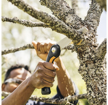 Personne coupant une branche avec une scie à branches
