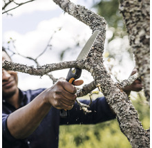 Une personne coupe une branche avec une scie à main.