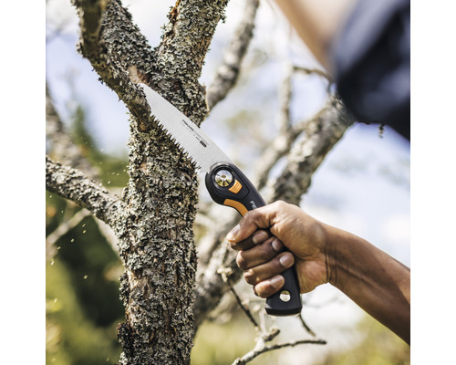 Une personne coupe une branche d''arbre avec une scie à branches.