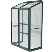 Serre avec cadre en aluminium et plaques en polycarbonate