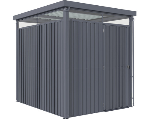 Abri de jardin métallique avec porte et lucarne