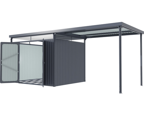 Abri de jardin métallique avec portes ouvertes et abri