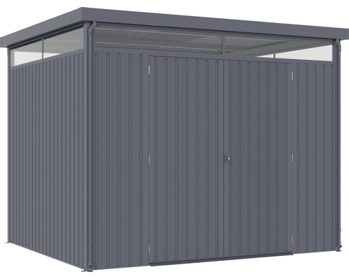 Abri de jardin avec double porte et lanterneau