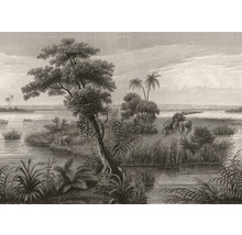 Illustration einer Landschaft mit Elefanten, Bäumen und Wasser