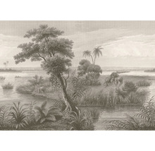 Fototapete Vlies 556155 Lirico Dschungel braun 8-tlg. 424 x 300 cm