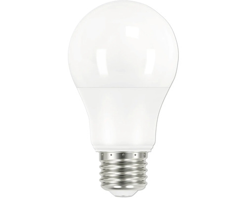 Ampoule LED Philips classic forme de poire 60 W A60 E27 - HORNBACH