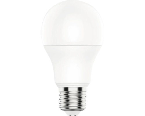 AMPOULE LED E27 5W 6500 K