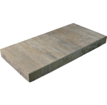 Pavé en béton pour l'extérieur Pavé en béton pour l'extérieur