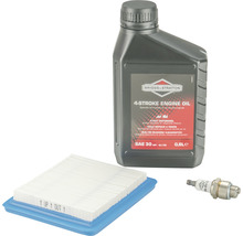 Briggs and Stratton Viertaktmotorenöl, Zündkerze und Luftfilter