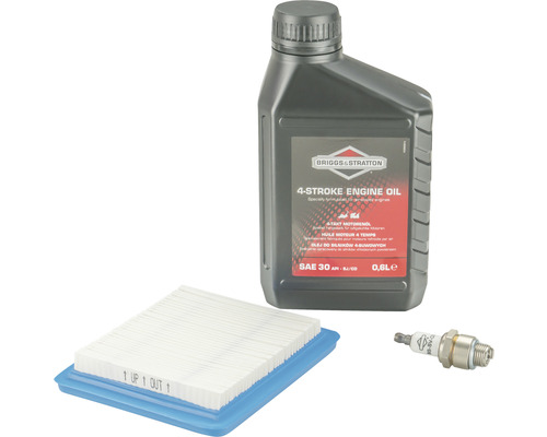 Briggs and Stratton Viertaktmotorenöl, Zündkerze und Luftfilter