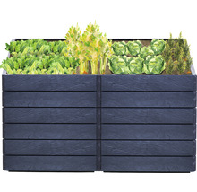 Jardinière surélevée classique GARANTIA Ergo Quadro 2 L avec système d'économie d'eau Flora 75 160 x 80 x 75 cm stone