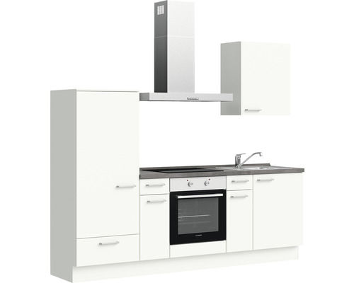 Cuisine complète avec évier, plaque de cuisson, four, hotte aspirante et armoires