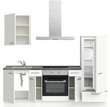 Küchenzeile mit Spüle, Herd, Backofen, Kühlschrank, Dunstabzugshaube und Hängeschrank