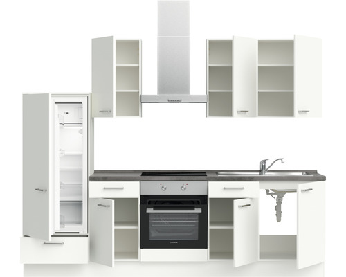 Cuisine équipée avec réfrigérateur, plaque de cuisson, hotte aspirante et évier