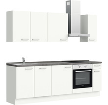 Küchenzeile mit Spüle, Kochfeld, Backofen, Dunstabzugshaube und Hängeschränken.