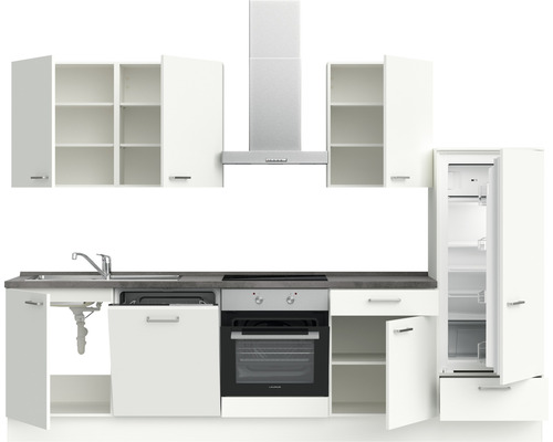 Cuisine équipée avec évier, cuisinière, four, hotte aspirante et réfrigérateur