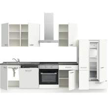 Cuisine complète avec évier, four, plaque de cuisson, hotte aspirante, réfrigérateur et armoires