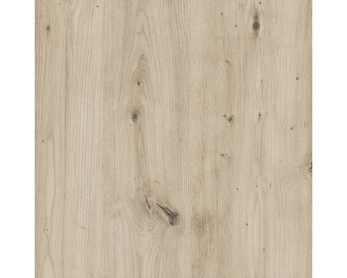 Texture de bois avec nœuds
