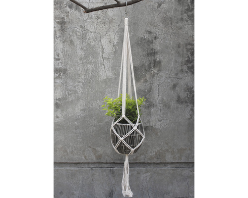 Pflanzenhänger mit Pflanze in Makramee-Optik