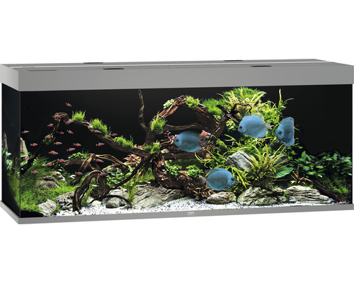 Aquarium JUWEL Rio 450 avec éclairage LED, pompe, filtre, chauffage sans meuble bas gris