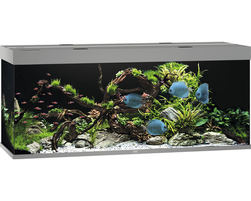 Aquarium JUWEL Rio 450 mit LED-Beleuchtung, Pumpe, Filter, Heizer ohne Unterschrank grau