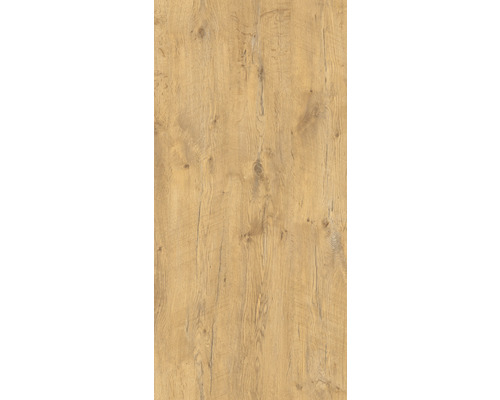 Panneau décoratif en bois avec grain de bois