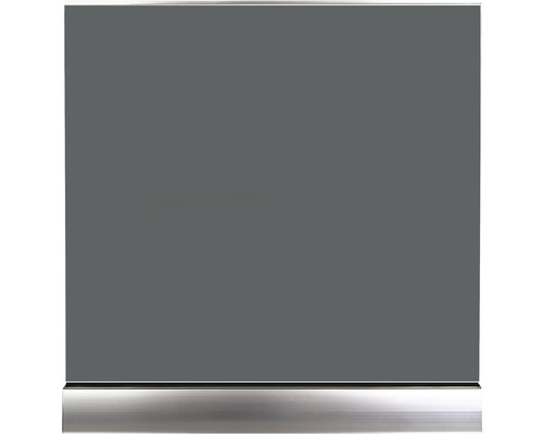 Garde-corps Pertura Pontos garde-corps en verre argent/anthracite pour montage au sol l: 2m Paroi de douche avec élément métallique