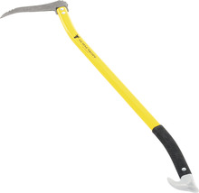 Ochsenkopf Sappie mit einem gelben Stiel und einem grauen Kopf