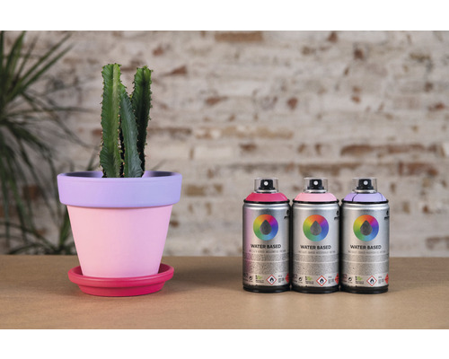 Arrangement décoratif avec cactus dans des pots en terre cuite peints et des bombes de peinture