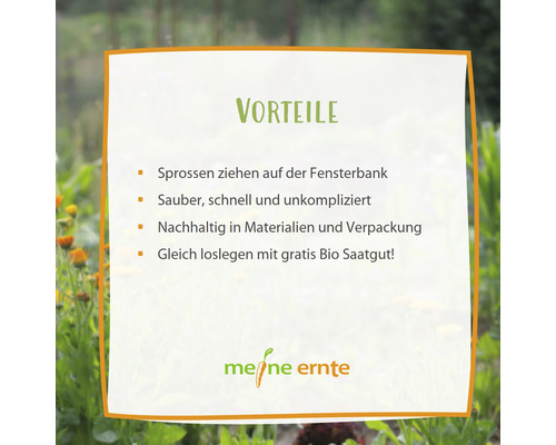 Vorteile: Sprossen ziehen auf der Fensterbank, sauber, schnell und unkompliziert, nachhaltig in Materialien und Verpackung, gleich loslegen mit gratis Bio Saatgut, Meine Ernte Logo