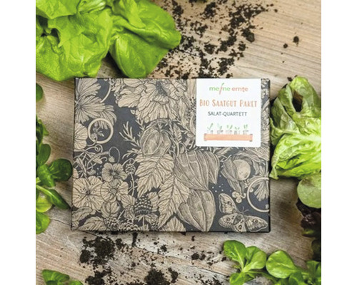 Paquet de semences biologiques Quatuor de salades sur une table avec des feuilles de salade