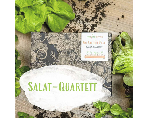 Paquet de semences de salades bio meine ernte Quatuor de salades avec 4 variétés, roquette, mâche, laitue à couper et laitue pommée