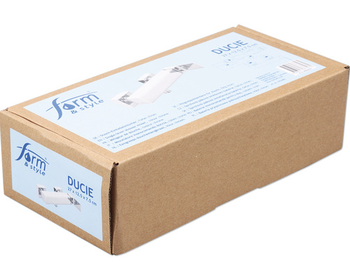 Form and Style Ducie Dusch-Einhebelmischer Verpackung
