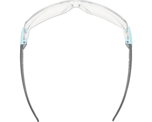 Lunettes de protection avec verres transparents