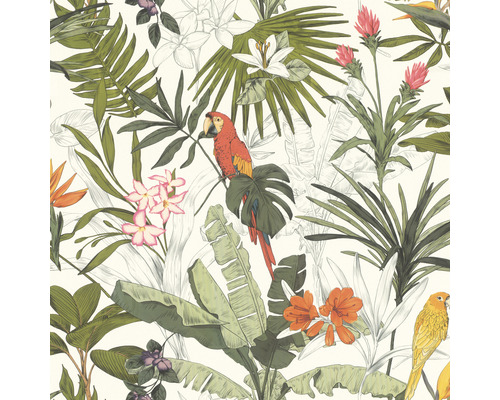 Papier peint intissé 689907 Rhapsody jungle vert Papier peint avec motif tropical, perroquets, feuilles et fleurs