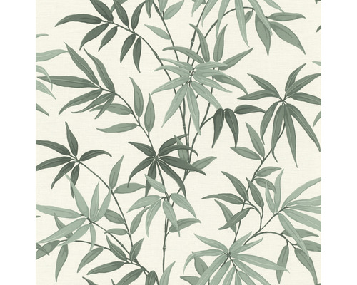 Papier peint intissé 691511 Rhapsody feuilles vert Papier peint avec motif de feuille de bambou