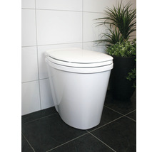 WC sur pied blanc avec réservoir de chasse d''eau devant des carreaux muraux et une plante d''intérieur