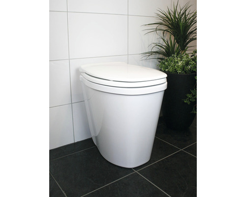 WC sur pied blanc avec réservoir de chasse d''eau devant des carreaux muraux et une plante d''intérieur