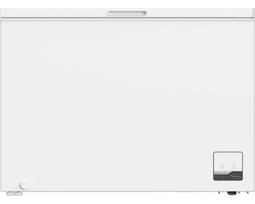 Congélateur coffre pour le stockage des aliments
