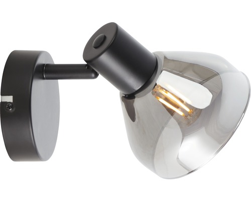 Wandleuchte mit transparentem Lampenschirm