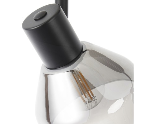 Detailaufnahme einer Lampe mit transparentem Glasschirm und schwarzer Fassung