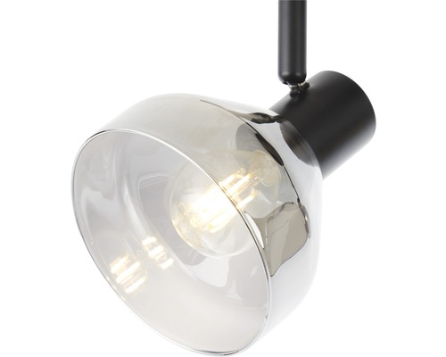 Deckenleuchte mit transparentem Lampenschirm