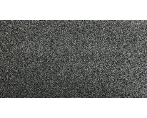 Paillasson anti-salissures Topscrape anthracite 100x200 cm