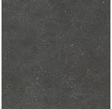 Feinsteinzeug Wand- und Bodenfliese Alpen Graphit matt rektifiziert 60 x 60 x 1.0 cm