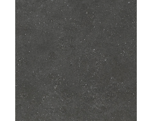Carrelage sol et mur en grès-cérame fin Alpen 60 x 60 x 1 cm graphite mat rectifié