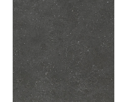 Feinsteinzeug Wand- und Bodenfliese Alpen Graphit matt rektifiziert 60 x 60 x 1.0 cm Feinsteinzeug Wand- und Bodenfliese Alpen Graphit matt rektifiziert 60 x 60 x 1.0 cm