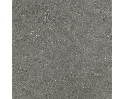 Carrelage sol et mur en grès-cérame fin Alpen 60 x 60 x 1 cm gris mat rectifié