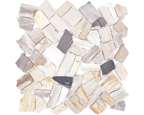 Mosaïque en pierre naturelle Bruch/Ciot mélange wood stone fossil Mosaïque en bois