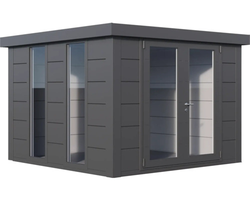 Abri de jardin moderne avec fenêtres et double porte